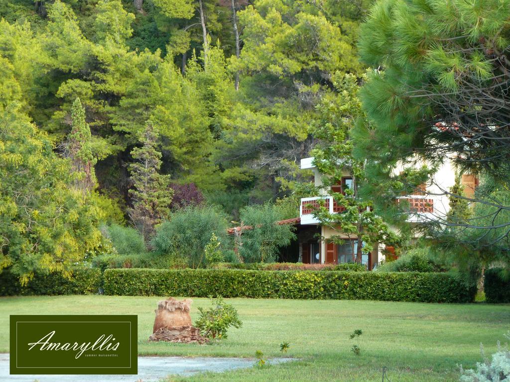 Amaryllis Summer Maisonettes Possidi Cameră foto
